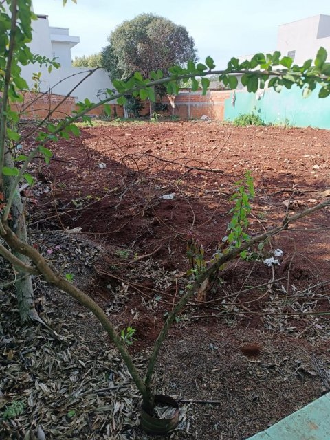 Terreno no Bairro Vila Gaúcha
