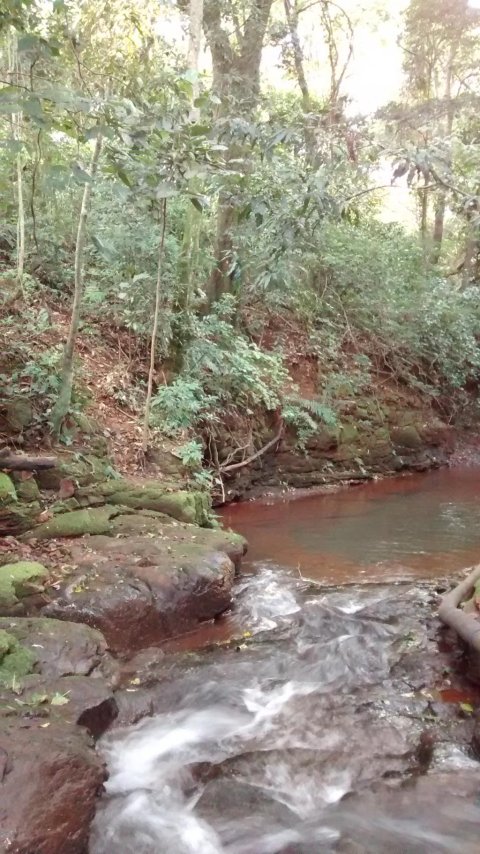Rural - Linha Gaúcha - Próximo ao Motocross