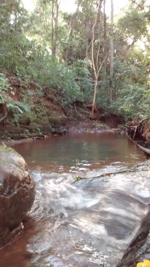 Rural - Linha Gaúcha - Próximo ao Motocross