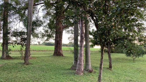 Rural - Linha Gaúcha - Próximo ao Motocross